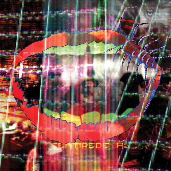 File:Centipede huge.jpeg